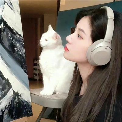 山水之上